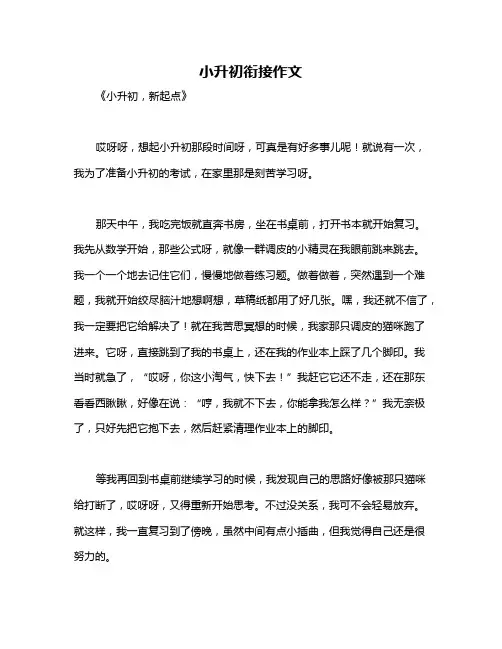 小升初衔接作文