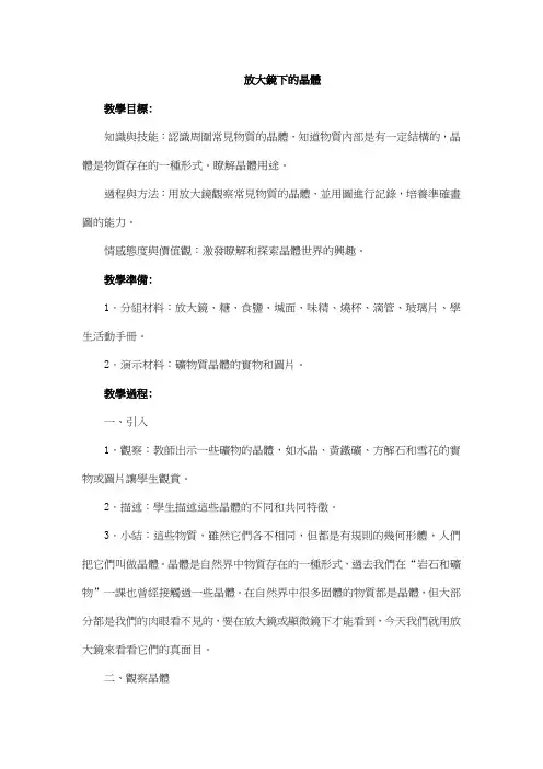 科教版六年级科学教案-放大镜下的晶体 