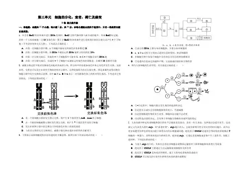 新高考生物第三单元细胞的分化、衰老、凋亡及癌变(B卷能力提升练)(考试版)