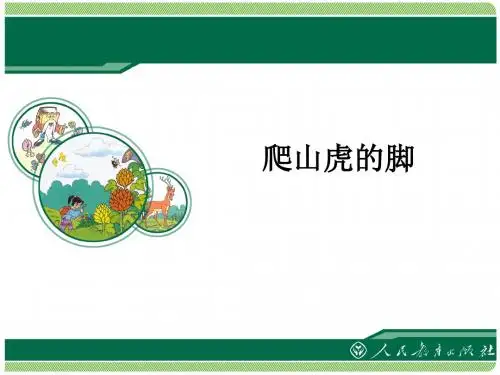 爬山虎
