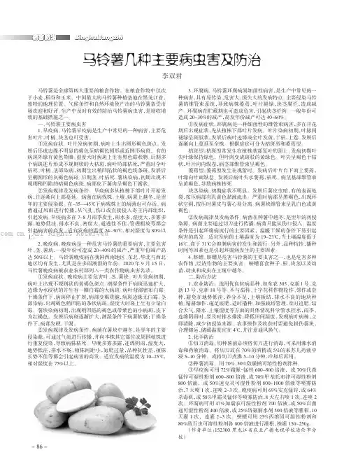 马铃薯几种主要病虫害及防治