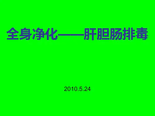 肝胆肠排毒(课件)ppt模板