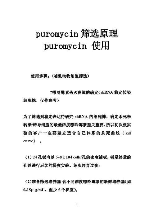 puromycin筛选原理puromycin使用