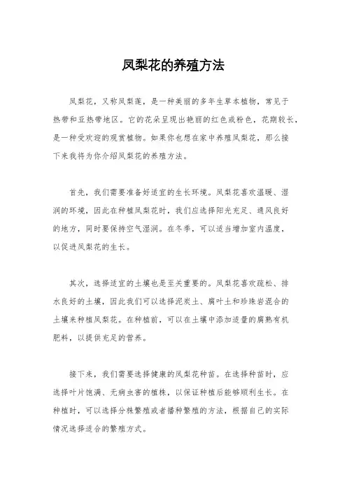凤梨花的养殖方法