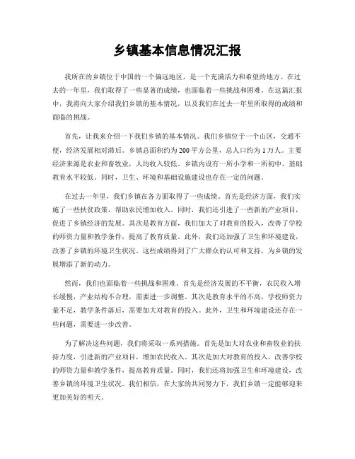 乡镇基本信息情况汇报