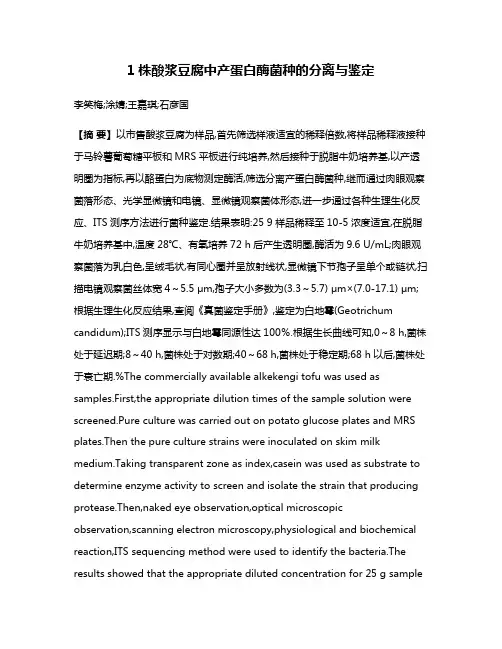 1株酸浆豆腐中产蛋白酶菌种的分离与鉴定