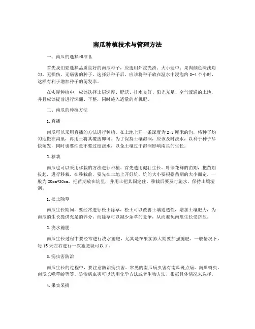 南瓜种植技术与管理方法