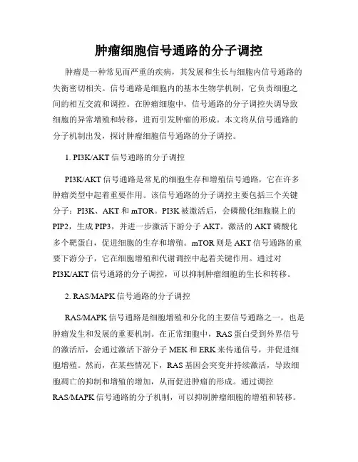 肿瘤细胞信号通路的分子调控