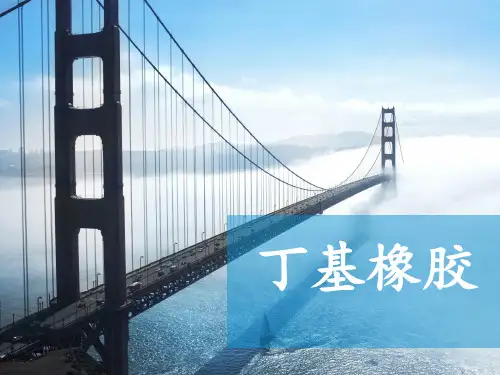 芝芝的丁基橡胶