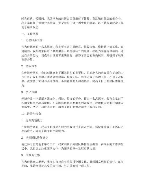 世博会个人工作总结