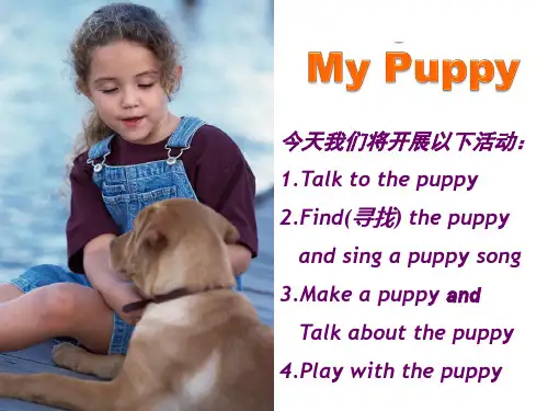 小学英语新版-牛津译林版三年级下册Project1Mypuppy课件