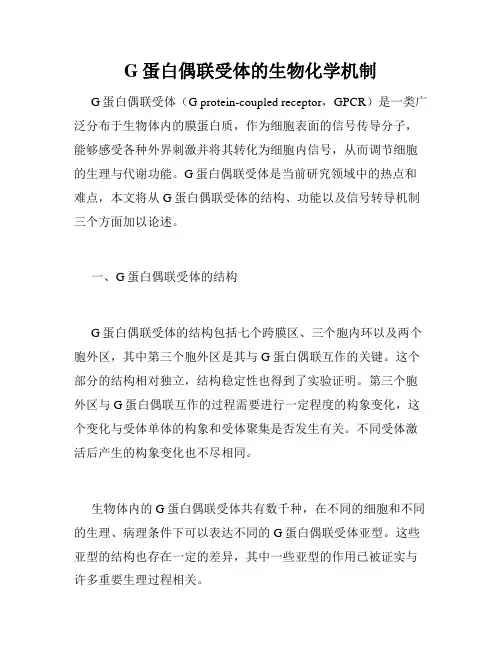 G蛋白偶联受体的生物化学机制