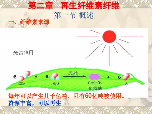 第二章再生纤维素纤维