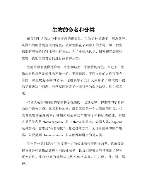 生物的命名和分类