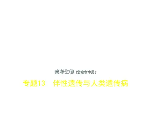 高考生物一轮复习 专题13 伴性遗传与人类遗传病课件