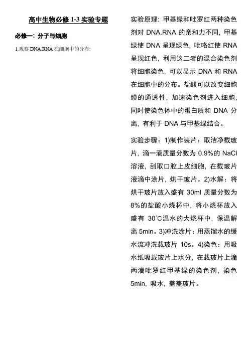 高中生物必修1-3知识点总结-实验专题(共19个实验)