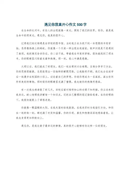 遇见你我真开心作文500字