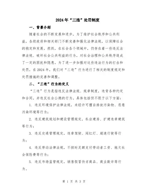 2024年“三违”处罚制度