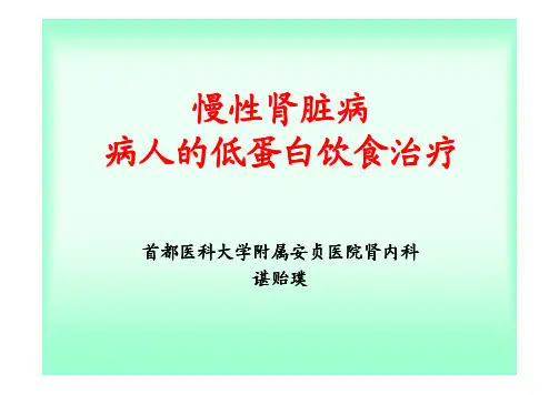 (仅供参考)慢性肾脏病病人低蛋白饮食治疗