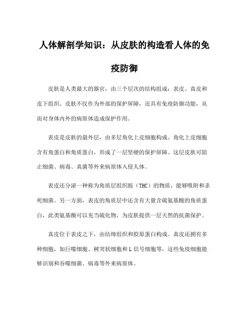 人体解剖学知识：从皮肤的构造看人体的免疫防御