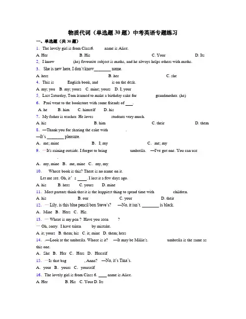 物主代词(单选题30题)中考英语专题练习