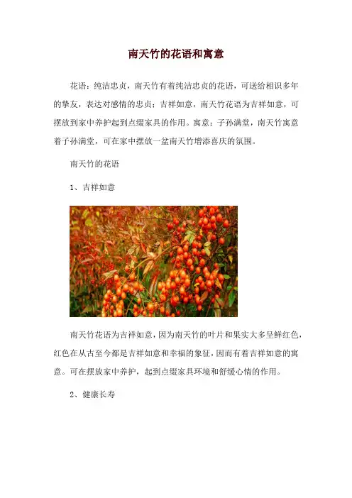 南天竹的花语和寓意