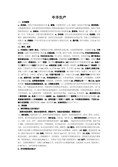 牛羊生产