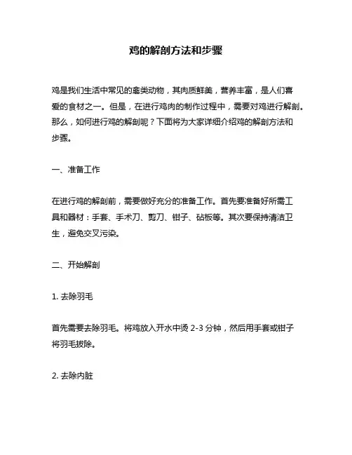 鸡的解剖方法和步骤