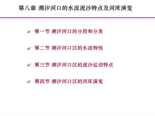 第八章潮汐河口的演变