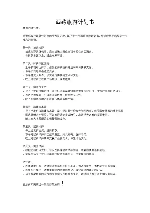 西藏旅游计划书