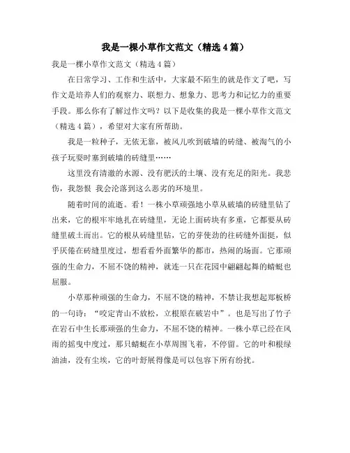 我是一棵小草作文范文(精选4篇)
