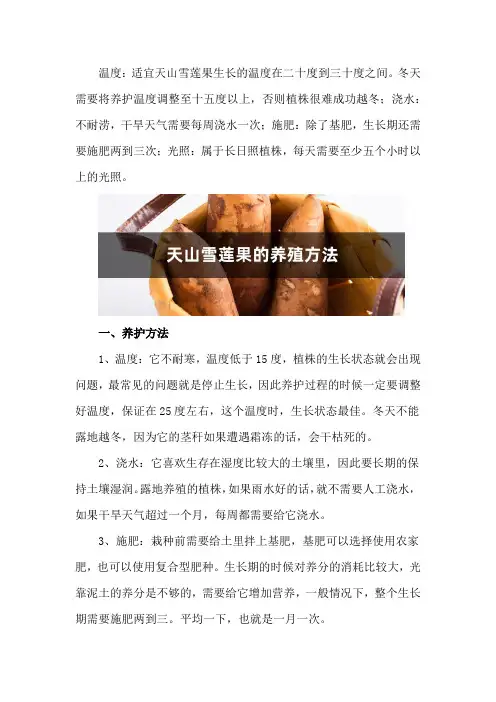 天山雪莲果的养殖方法和注意事项