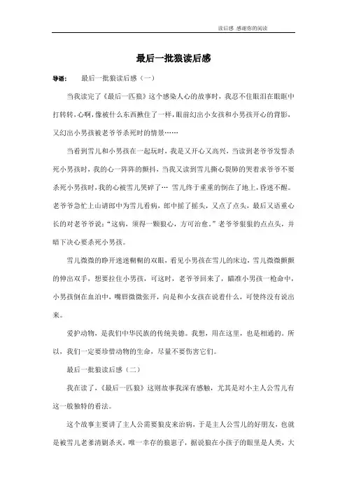 最后一批狼读后感