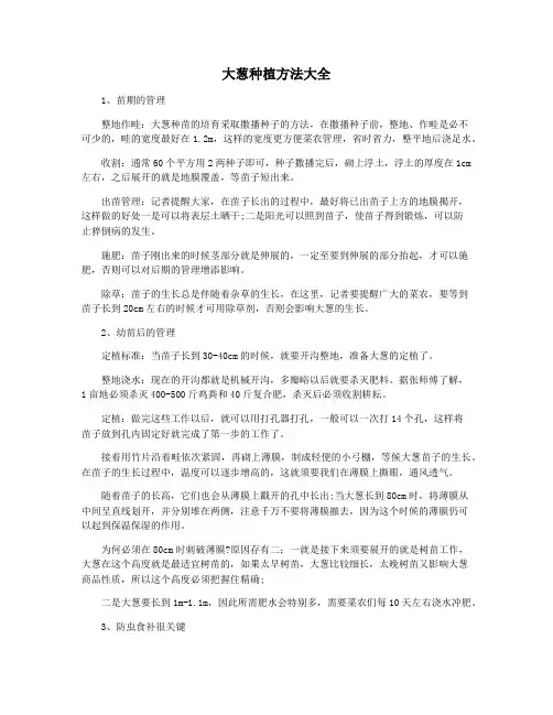 大葱种植方法大全