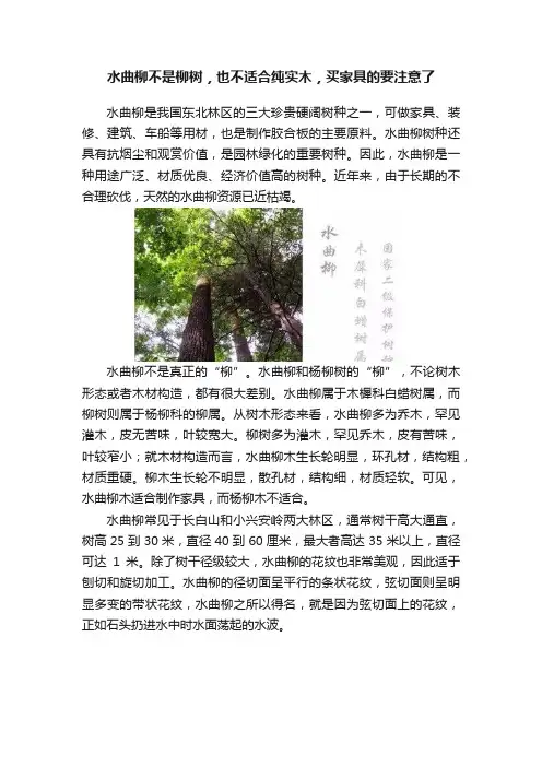 水曲柳不是柳树，也不适合纯实木，买家具的要注意了