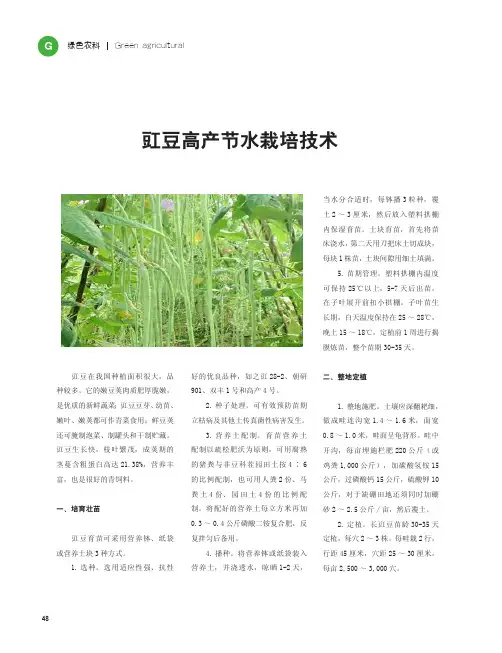 豇豆高产节水栽培技术