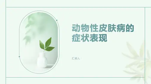 动物性皮肤病的症状表现有哪些
