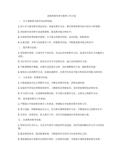 老教师指导青年教师工作计划