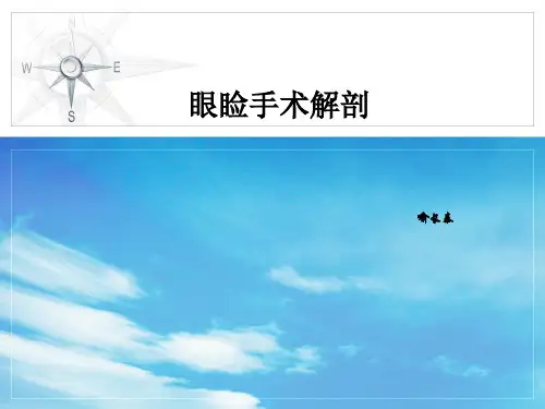 眼睑手术解剖