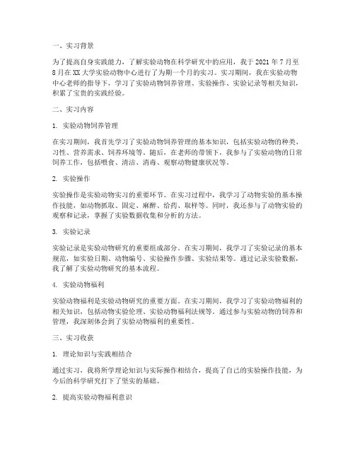 实验动物实习报告