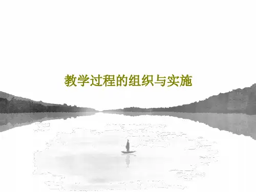 教学过程的组织与实施45页PPT