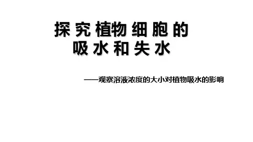 探究植物细胞的吸水和失水的实验ppt课件