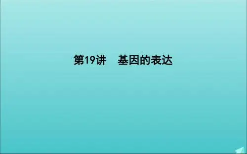 2020版高考生物总复习第19讲基因的表达课件新人教版
