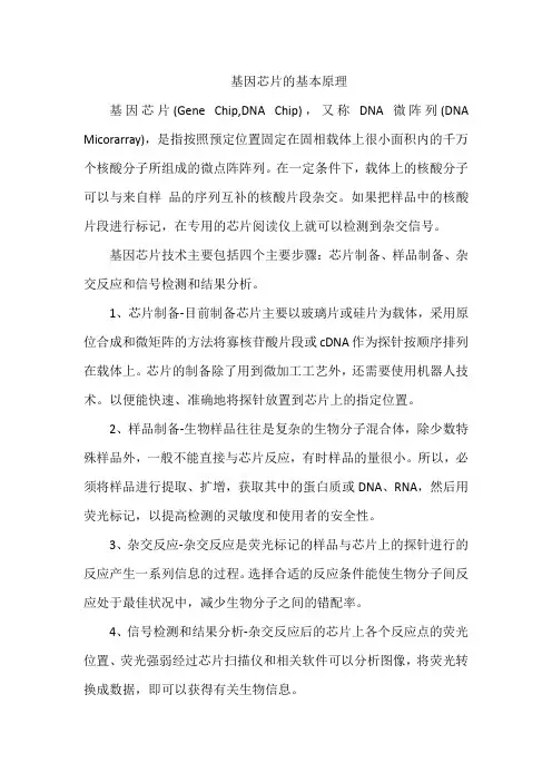 基因芯片的基本原理