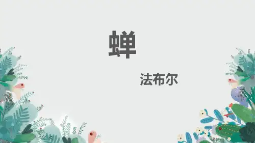 《蝉》PPT精品教学课件