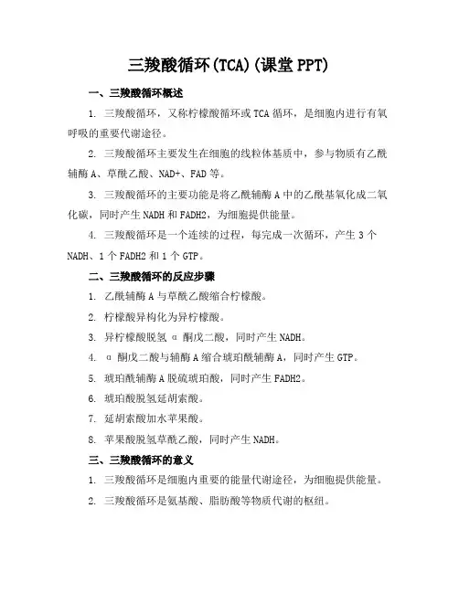 三羧酸循环(TCA)(课堂PPT)
