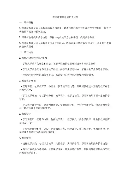 大学新教师培养培训计划