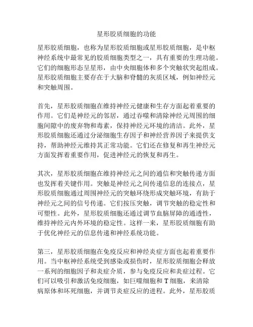 星形胶质细胞的功能