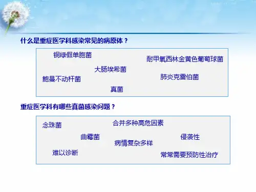 侵袭性真菌感染的病原学_PPT课件