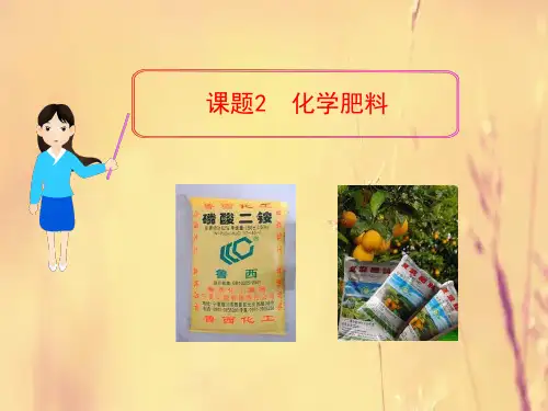 肥料PPT教学课件